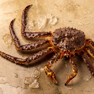 Live King Crab 활 킹크랩 [블루] 1.5kg(1.4-1.6kg)